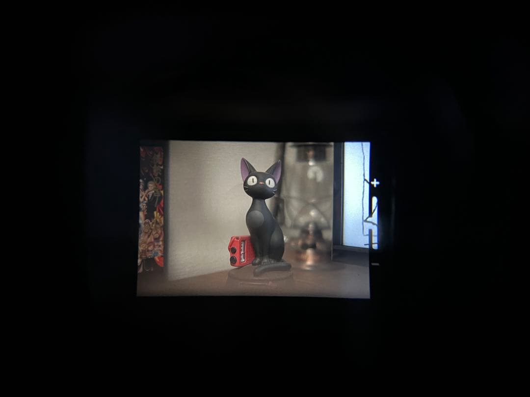 あ*く様 PENTAX（ペンタックス）フィルムカメラ 未使用フィルム付き