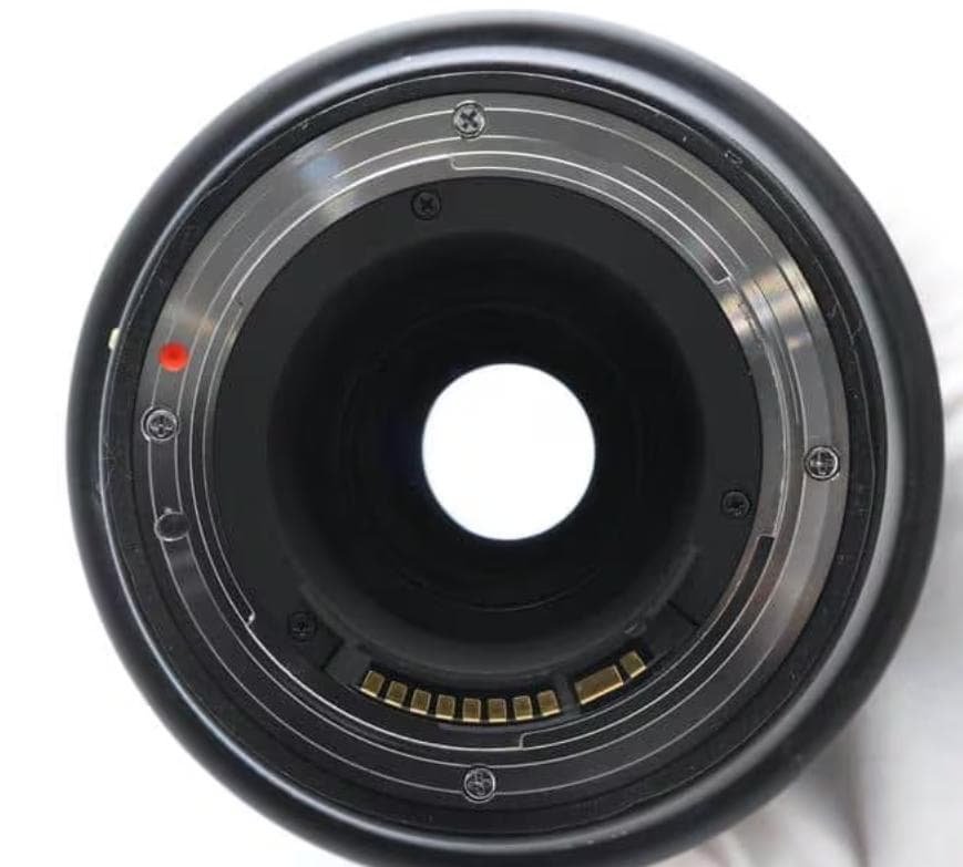 150-600mm F5-6.3 DG OS HSM (キヤノンEF用)