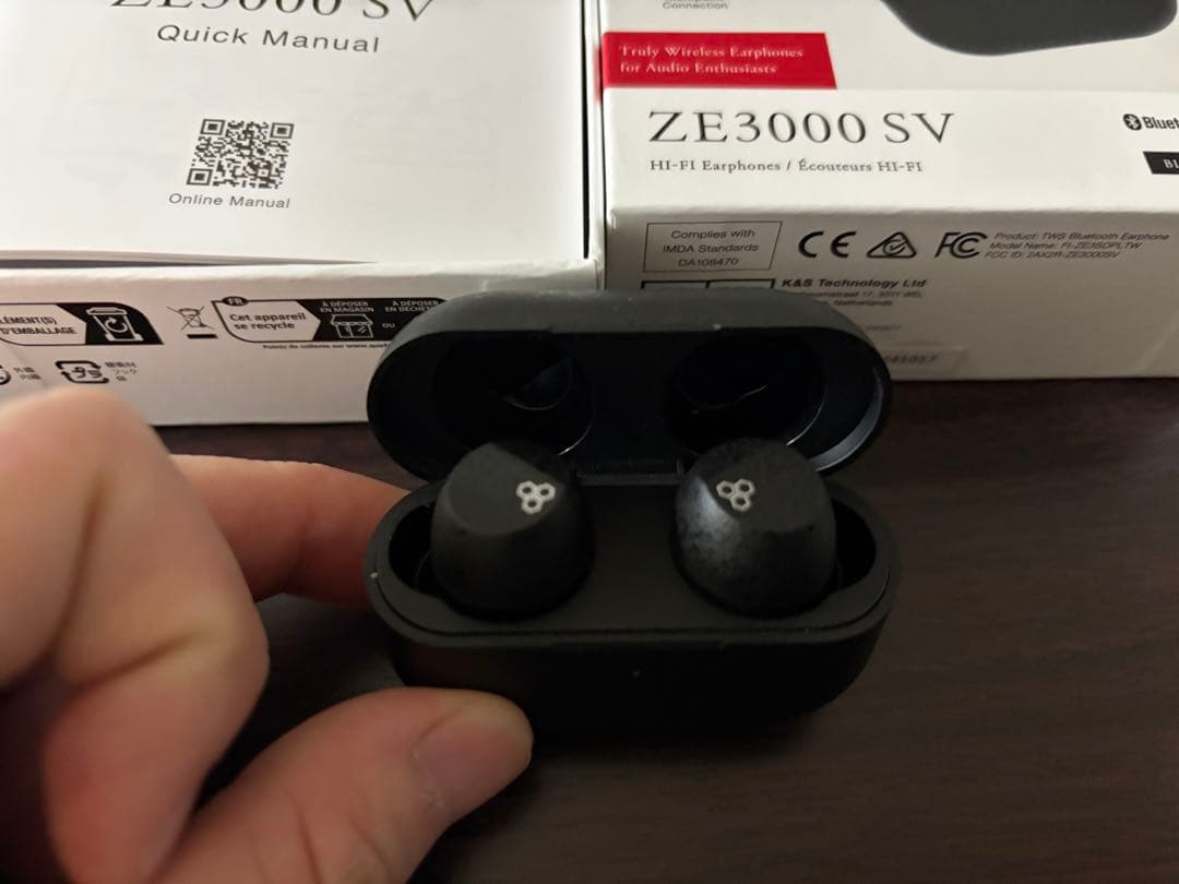 イヤホン FINAL ZE3000SV