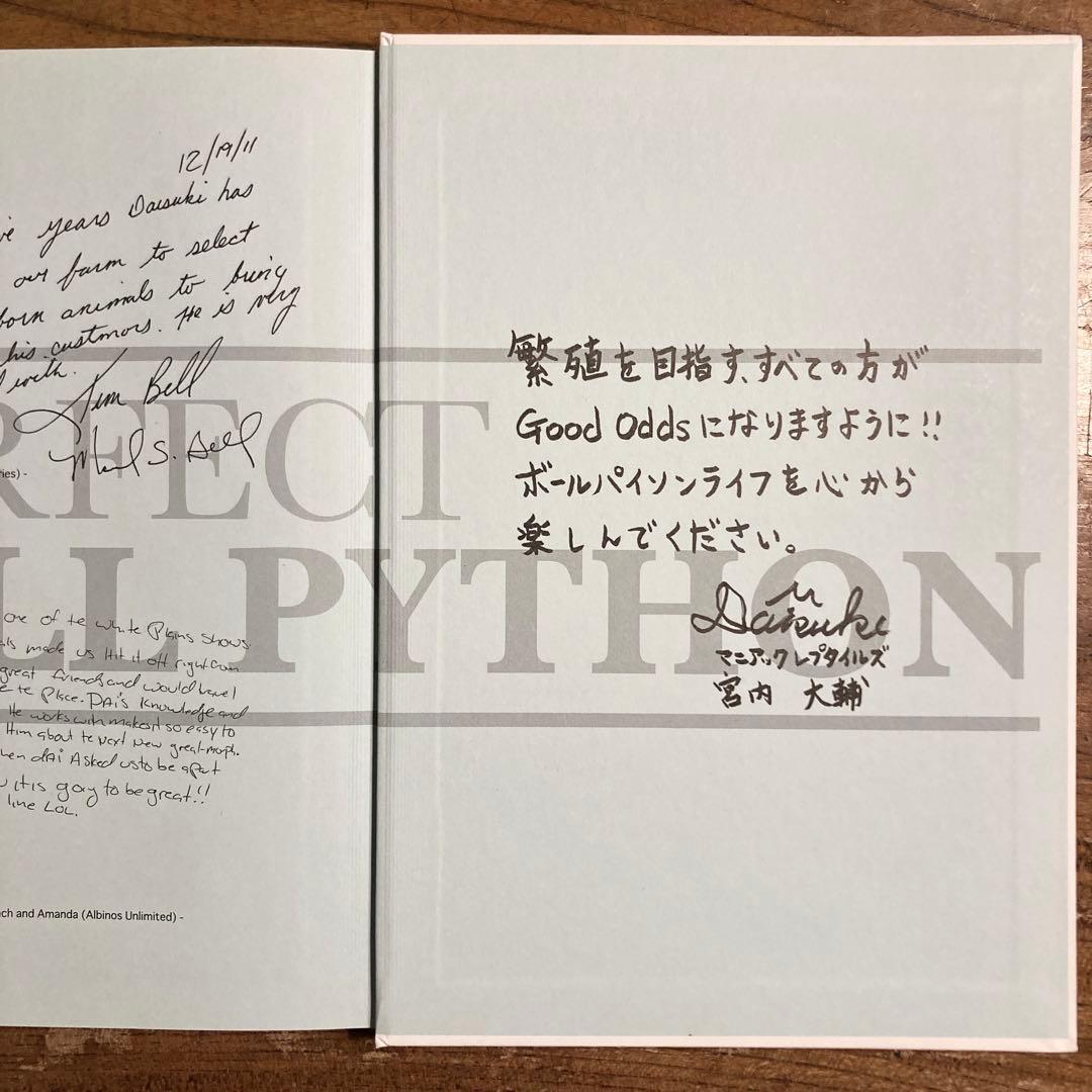 【絶版】PERFECT BALLPYTHON パーフェクトボールパイソン 爬虫類