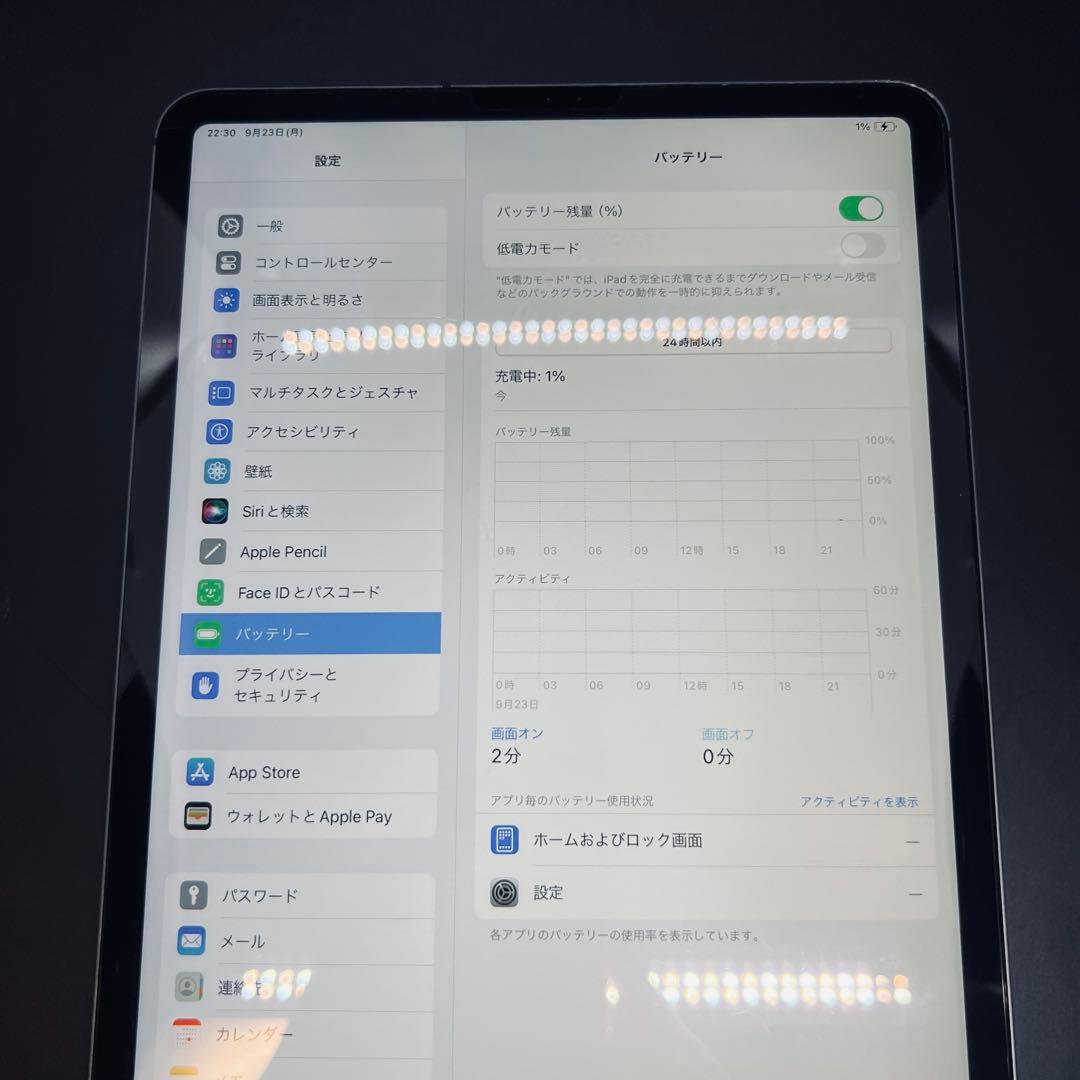 【SIMフリー】 iPad Pro 11インチ 第2世代 A12Z 動作確認済み