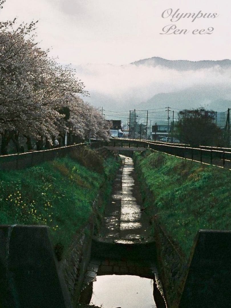 ★フィルム入門に！★オリンパスpen ee2 ★リザード本革グリーン★初期保証付