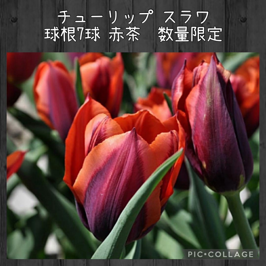 awe様 リクエスト 10点 まとめ商品