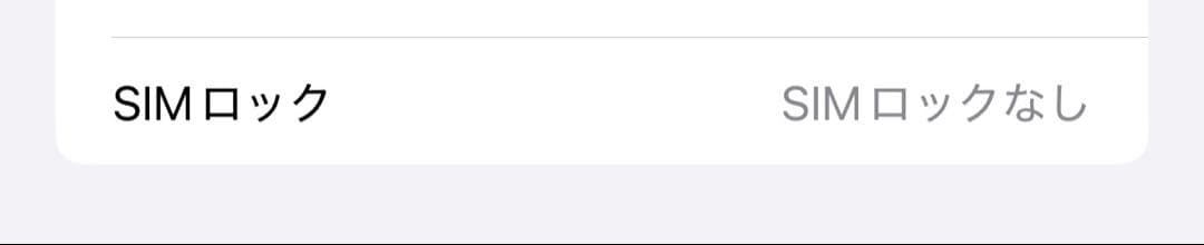 極美品 iPhone13ProMax 256GBシエラブルー SIMフリー版