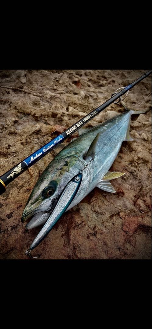 mcワークス　レイジングブル　100xr-1 カスタム