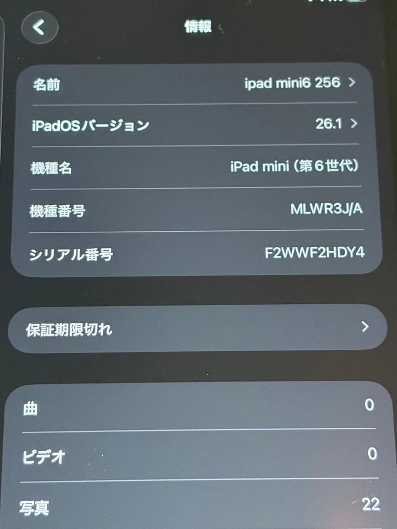 iPad mini 第6世代 256GB WiFi ピンク
