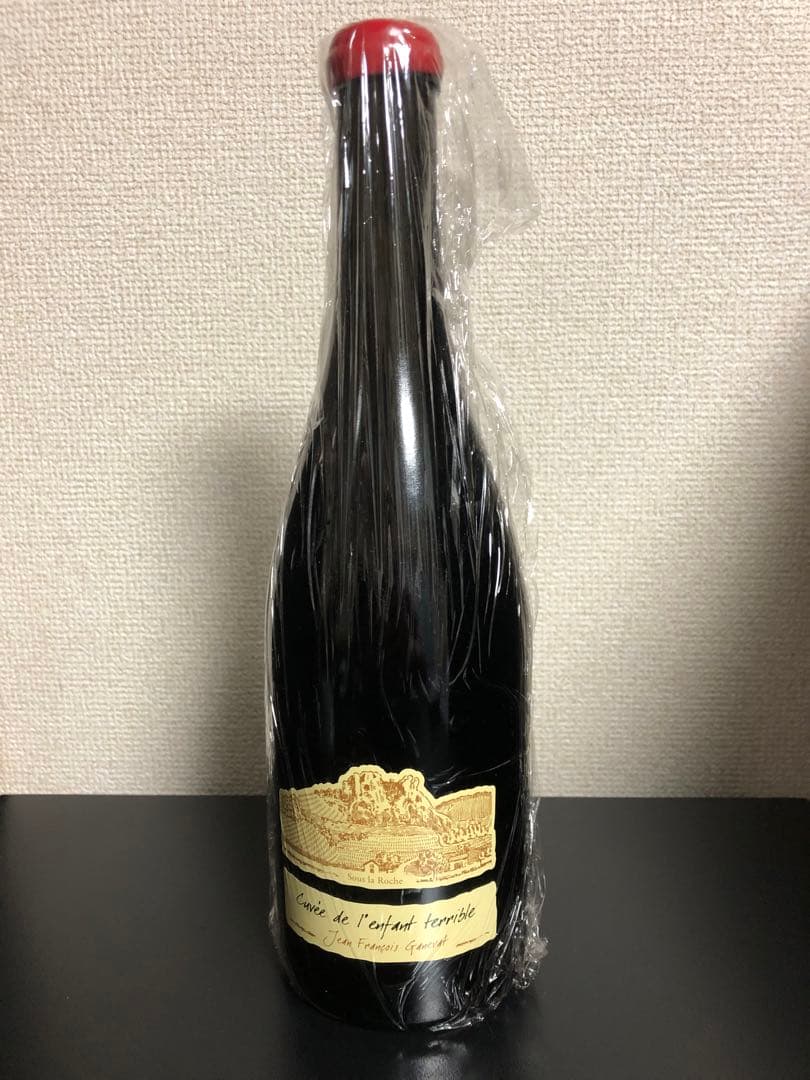 ジャン・フランソワ・ガヌヴァ プールサール ランファン・テリーブル2015