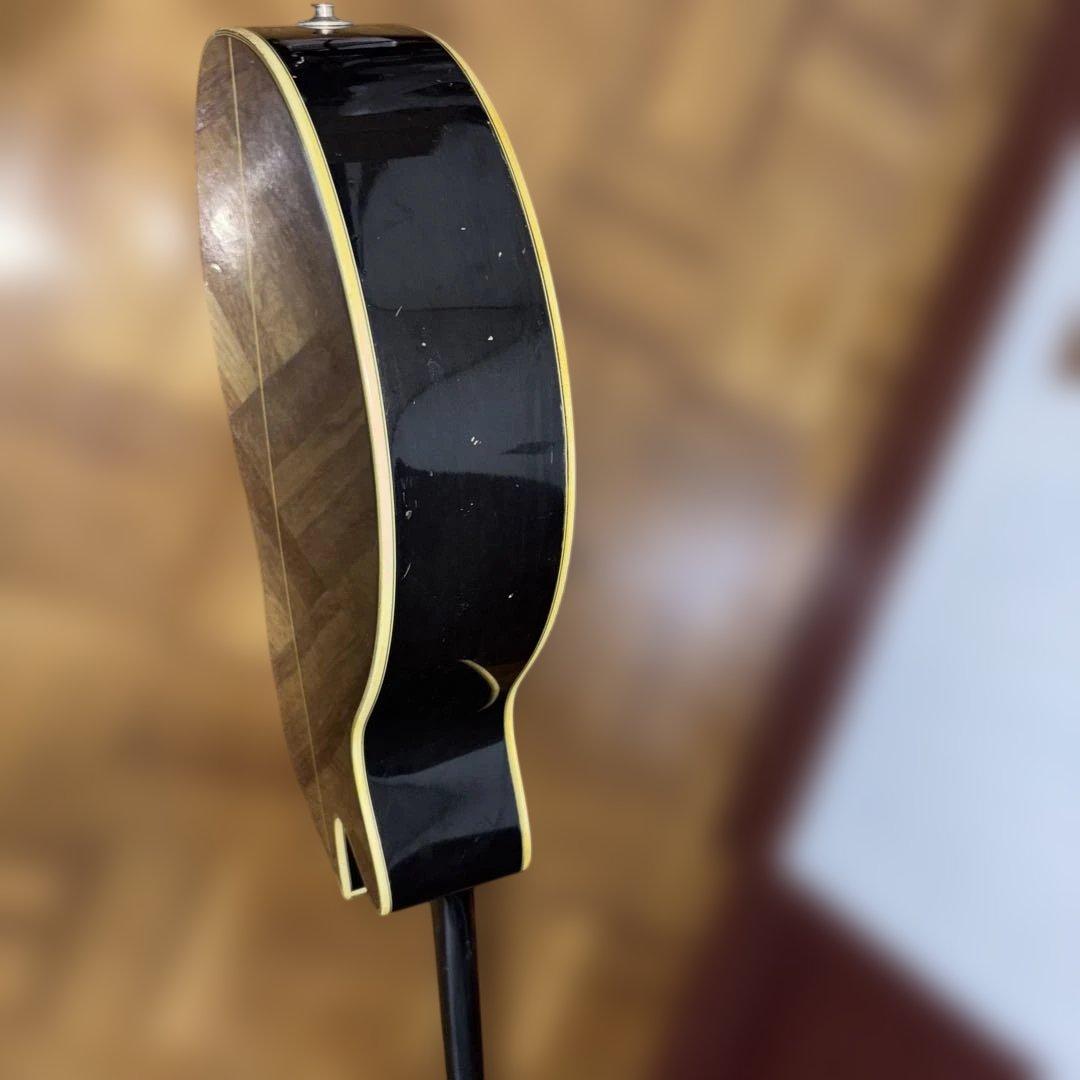 タカミネ　エレアコ