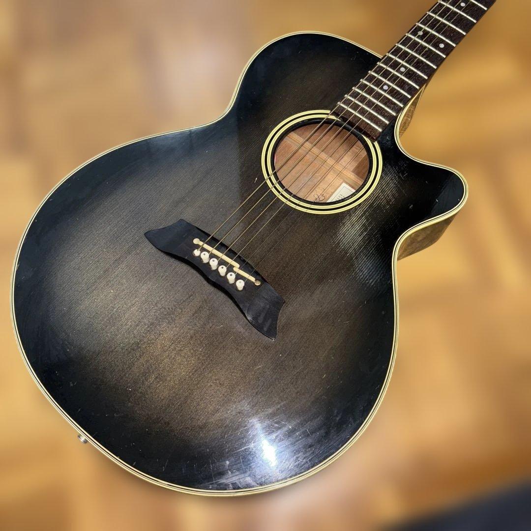 タカミネ　エレアコ