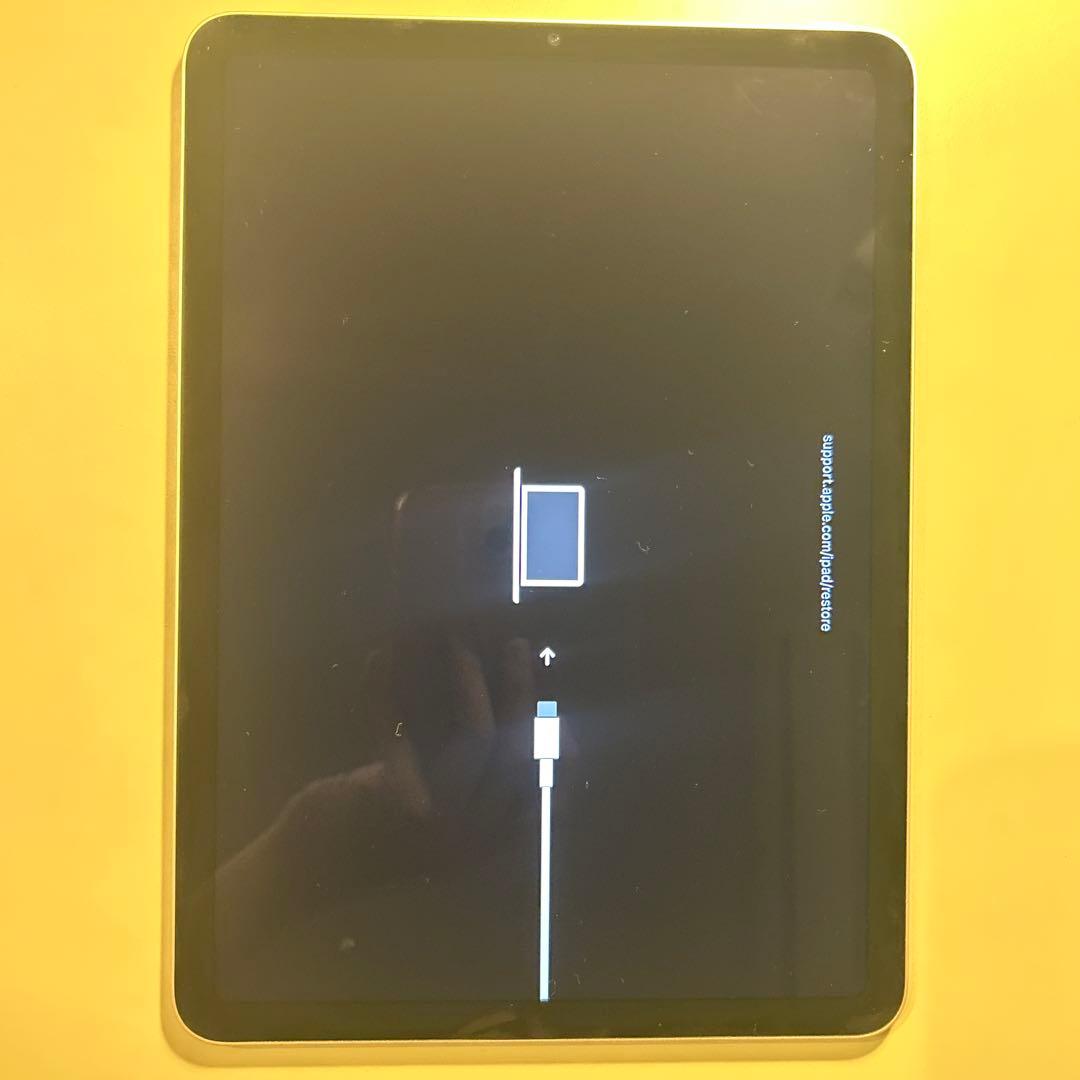 iPad Air Wi-Fi 256GB スターライト　第5世代 (不良品)