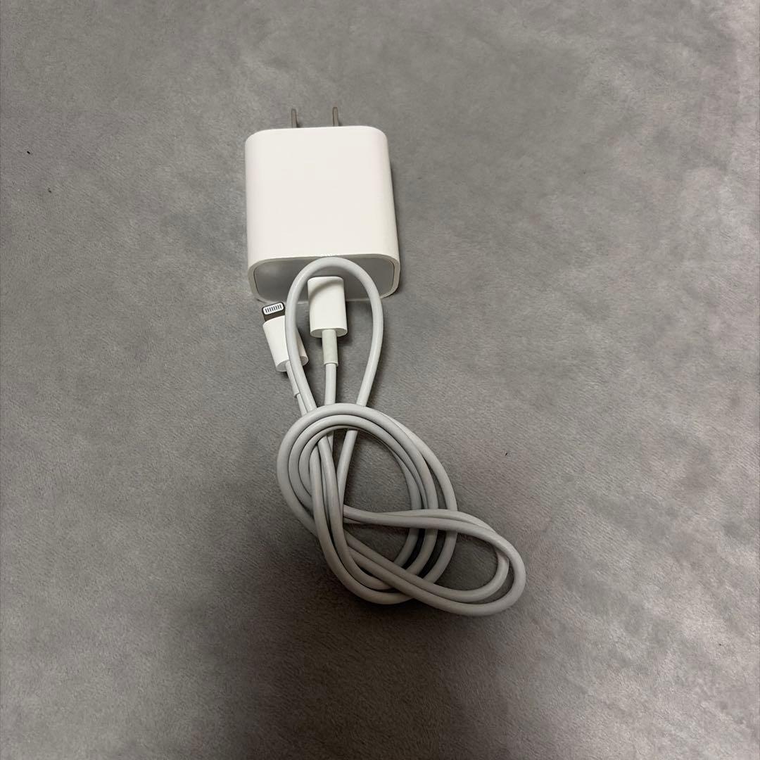 た*ん様 Apple iPad 第8世代 128GB 本体　シルバー　充電器+ケ