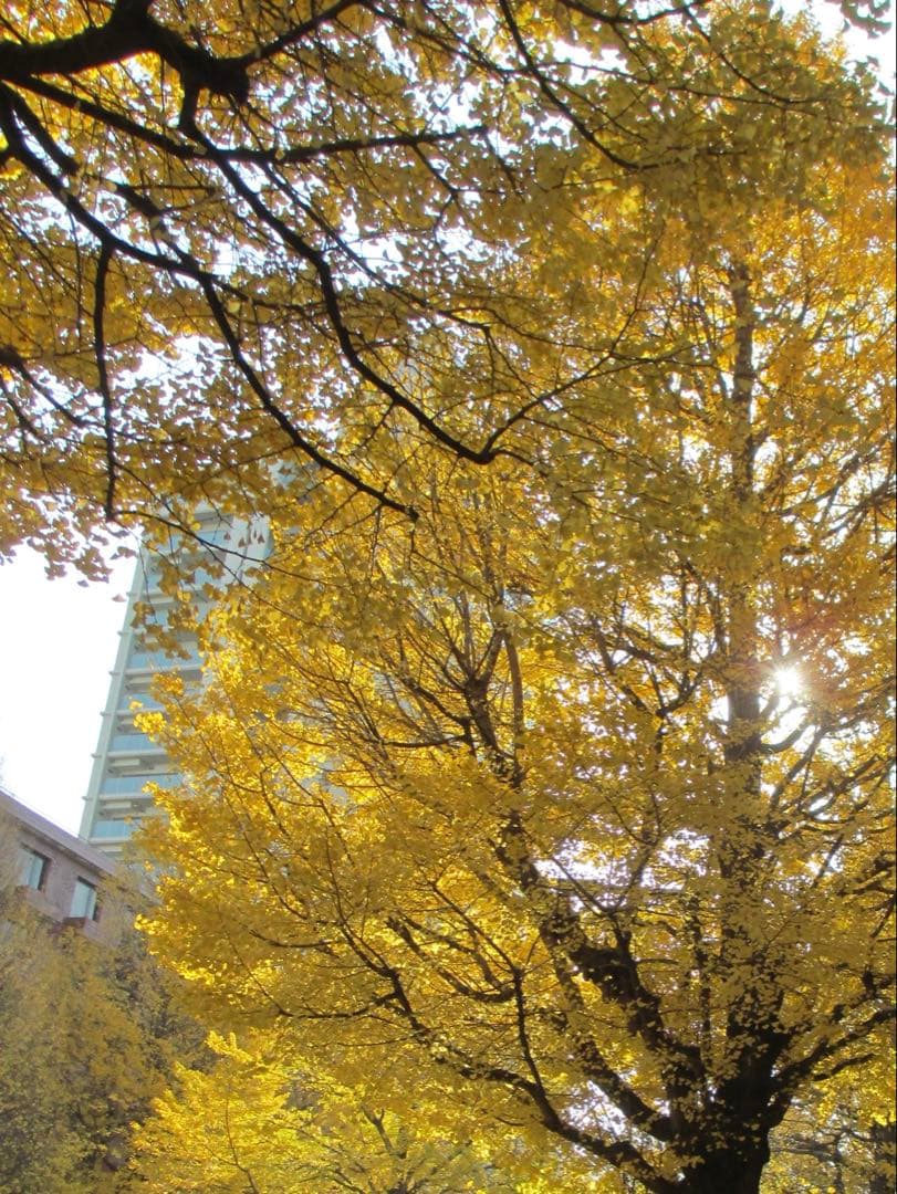 デジタルカメラ Canon power shot A4000 IS PINK