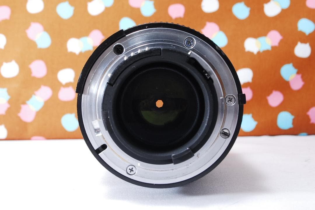 ✨お安くデビュー✨ショット数5056回✨Nikon D70 レンズセット