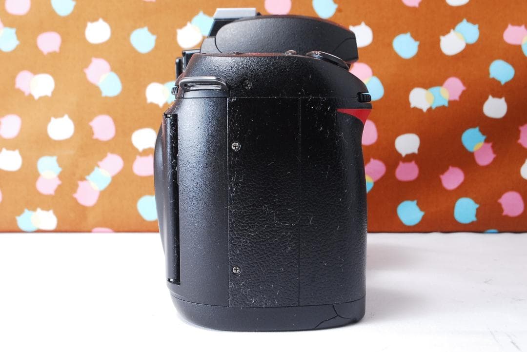 ✨お安くデビュー✨ショット数5056回✨Nikon D70 レンズセット