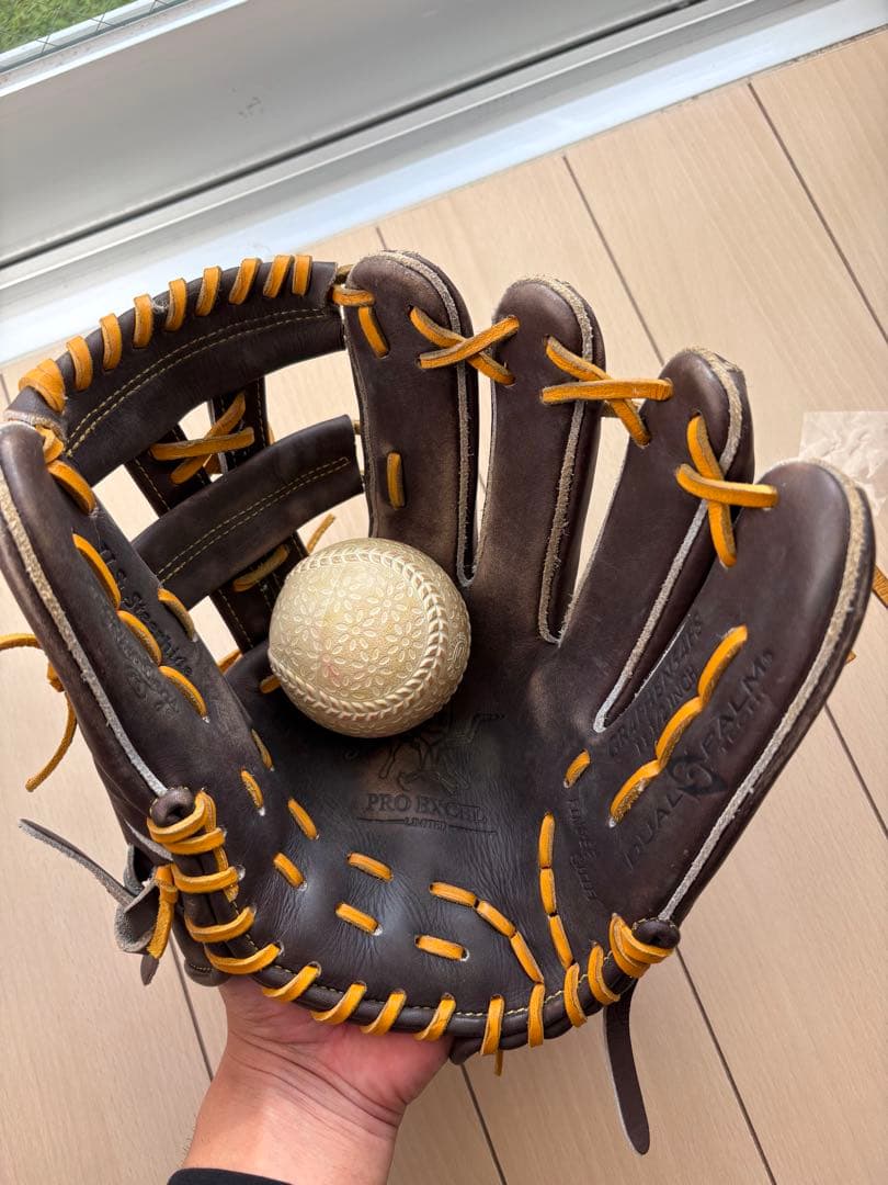 Rawlings 内野　ローリングス グローブ