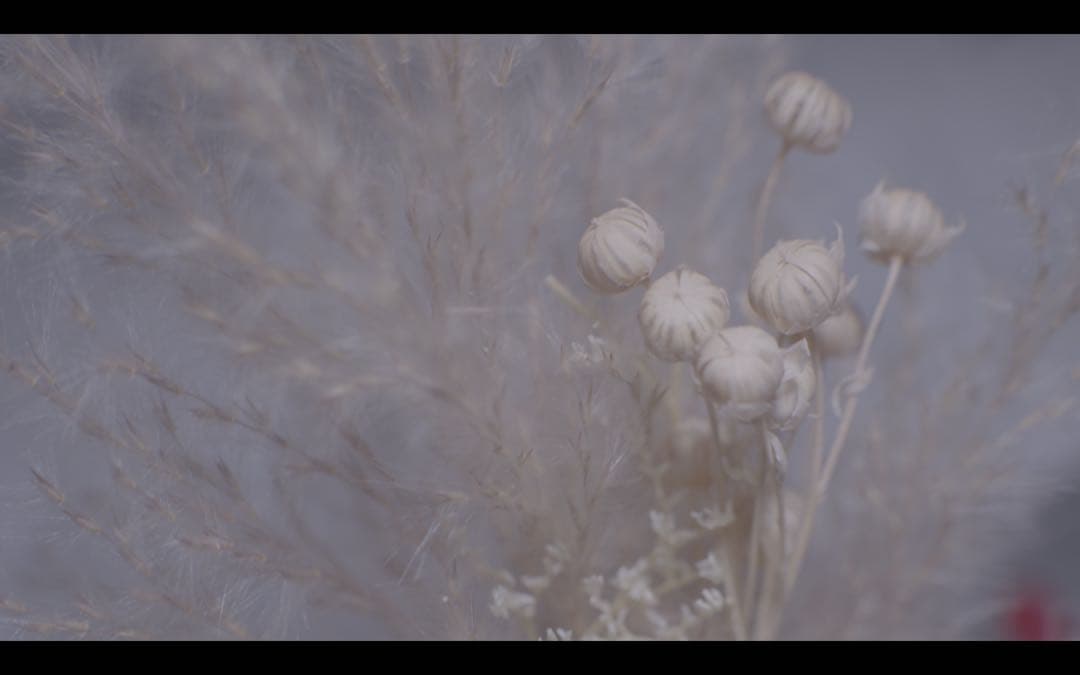 ISCO Gottingen ISCONAR 135mm f4 m42マウント