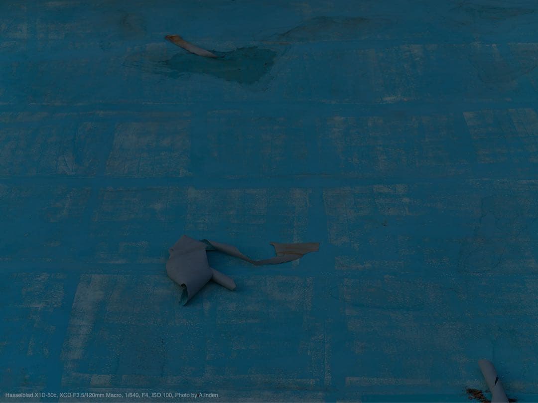 hasselblad xcd 120mm f3.5 macro 619,300円