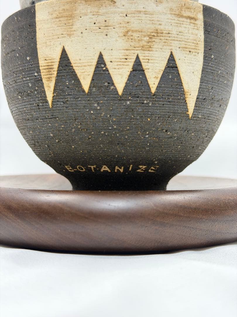 invisible ink インビジブルインク MAD ボタナイズ グラキリス