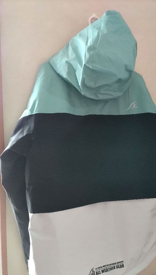 2025年モデルワークマンイージス防水防寒スーツМスノーミントスキーウェア限定色