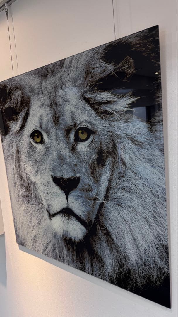 ライオンの顔のガラスアート