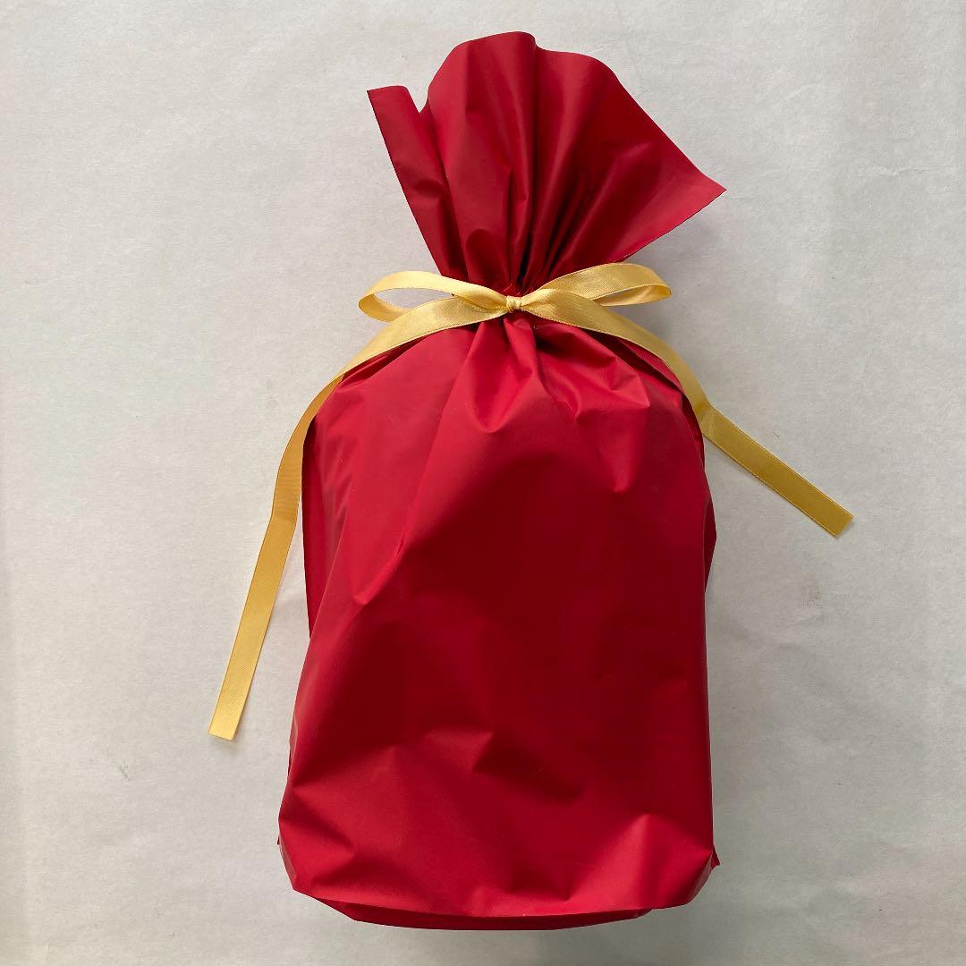 ラッピング袋おまけ付き♡ラッピングリボン 9本