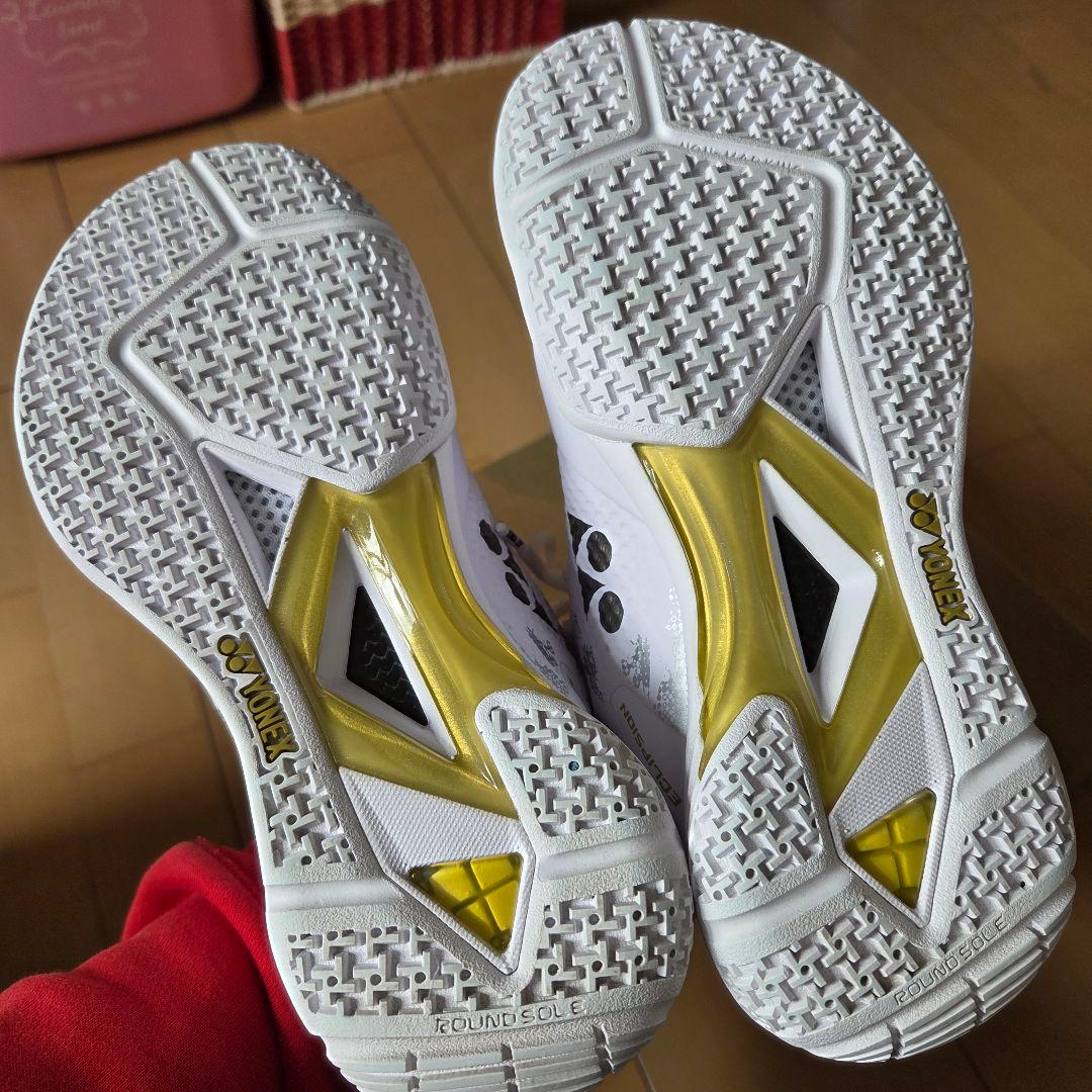 ヨネックス　YONEX エクリプションZ 22.0cm