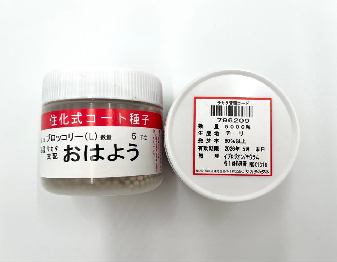 【お年玉価格】値下げ！ブロッコリー種子（おはよう）5000粒2個セット！