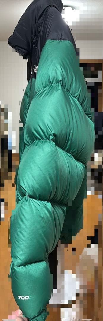 THE NORTH FACE ヌプシ 1996 レトロ ダウン EU規格