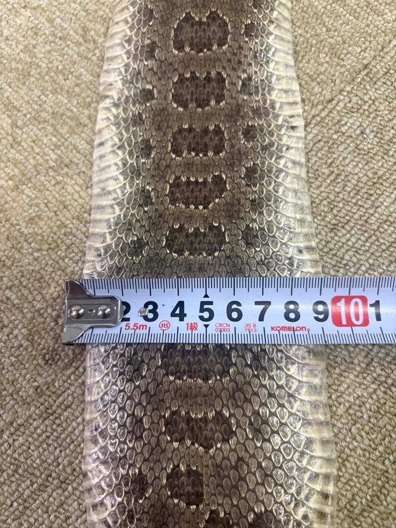 ガラガラヘビの革★100cm