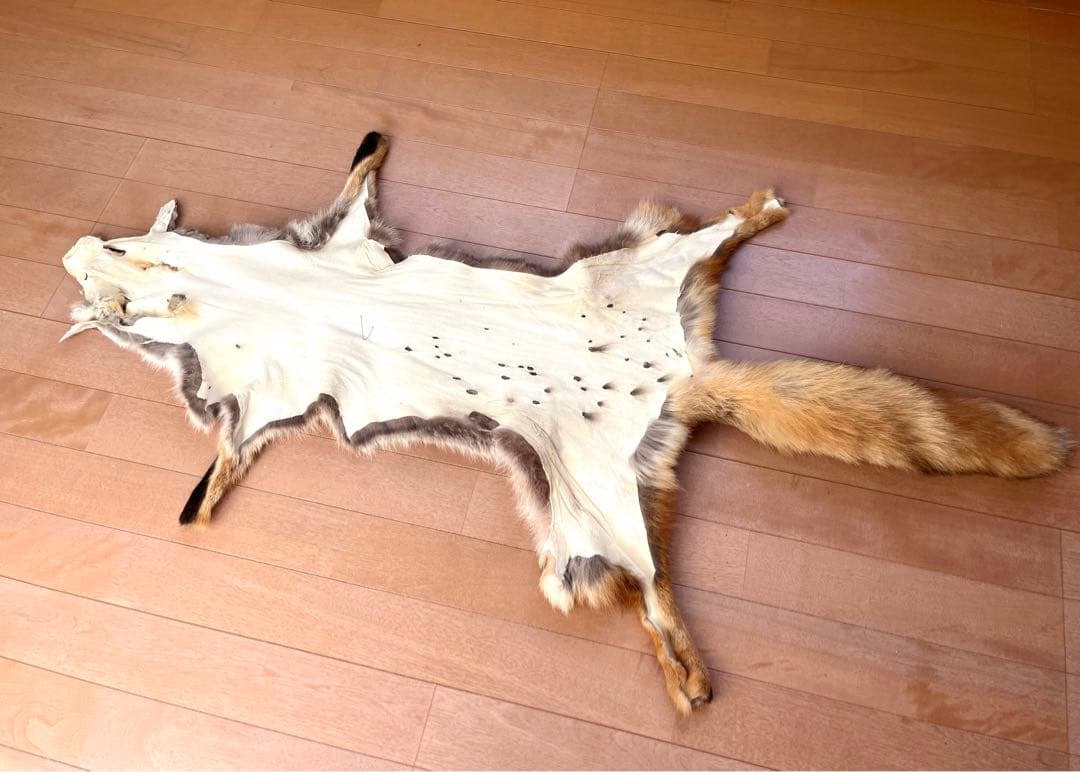 フォックス 毛皮 リアルファー A3 ★ ラグ　敷物　インテリア 狐　キャンプ