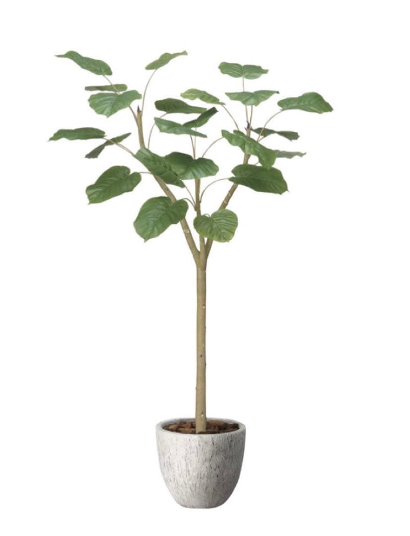 光触媒　人工観葉植物　フェイクグリーン　ナチュラルウンベラータ1.5