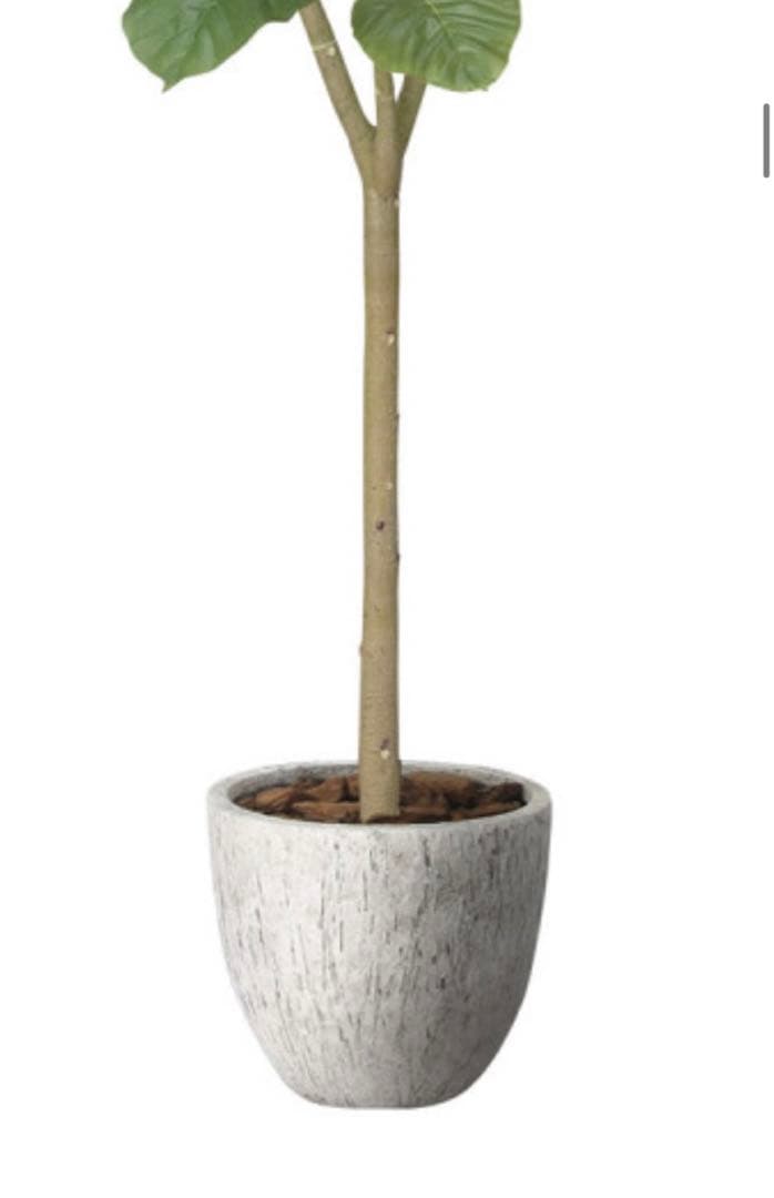 光触媒　人工観葉植物　フェイクグリーン　ナチュラルウンベラータ1.5