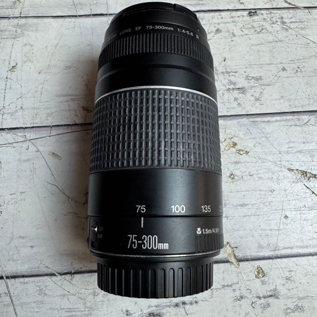 CANON ZOOM LENS EF 75-300mm 1:4-5.6 Ⅲ