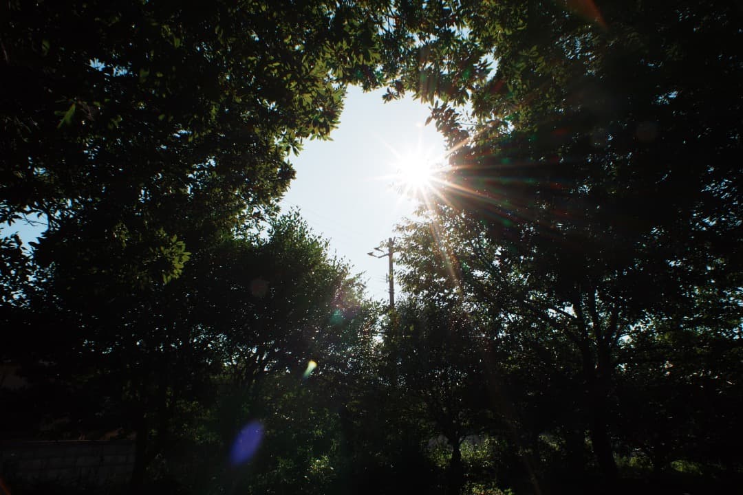 【極美品】Nikon Ai-s Nikkor 20mm F2.8 ニコン 402