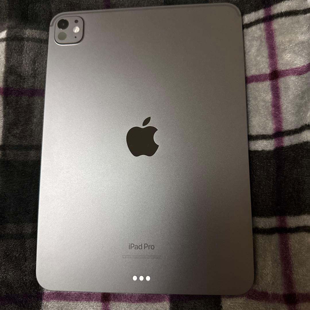 iPad Pro 11インチ 第3世代 Wi-Fiモデル 256GB