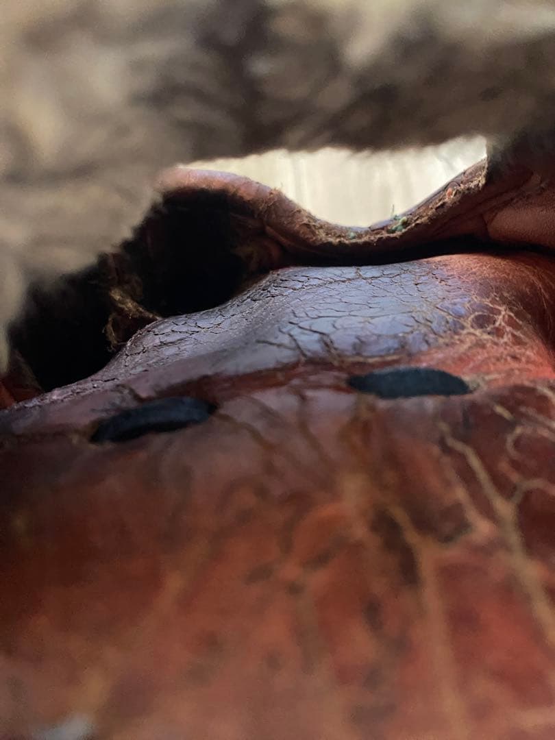 ミズノプロ　硬式内野手用グローブ