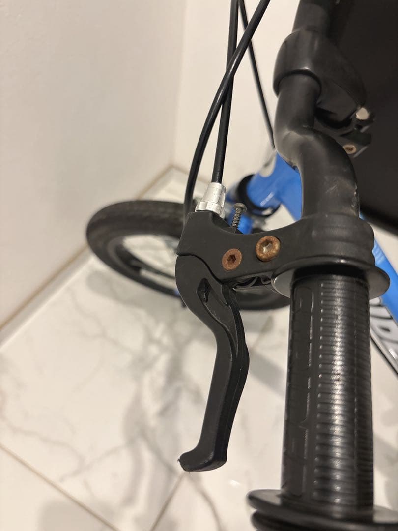 23区内引き渡し限定　STRIDER SPORT 14x バランスバイク 青