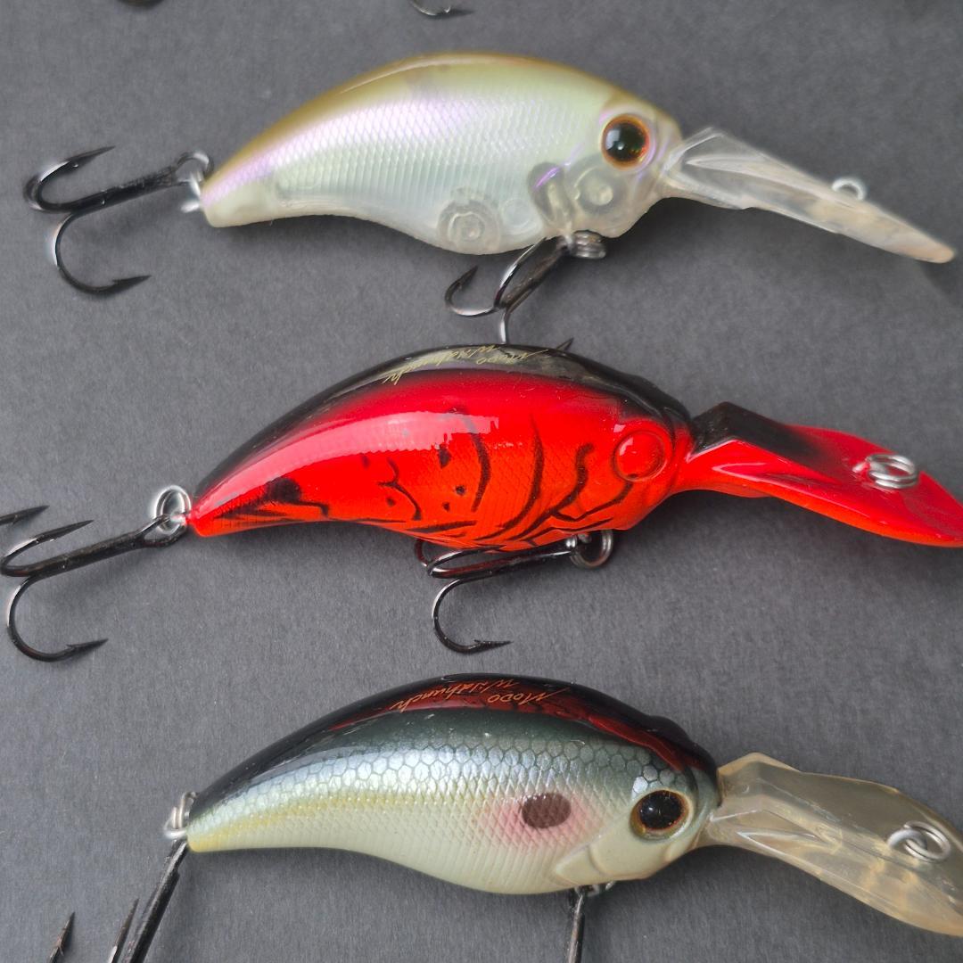 Evergreen MODO ワイルドハンチ 10個セット　a141-150