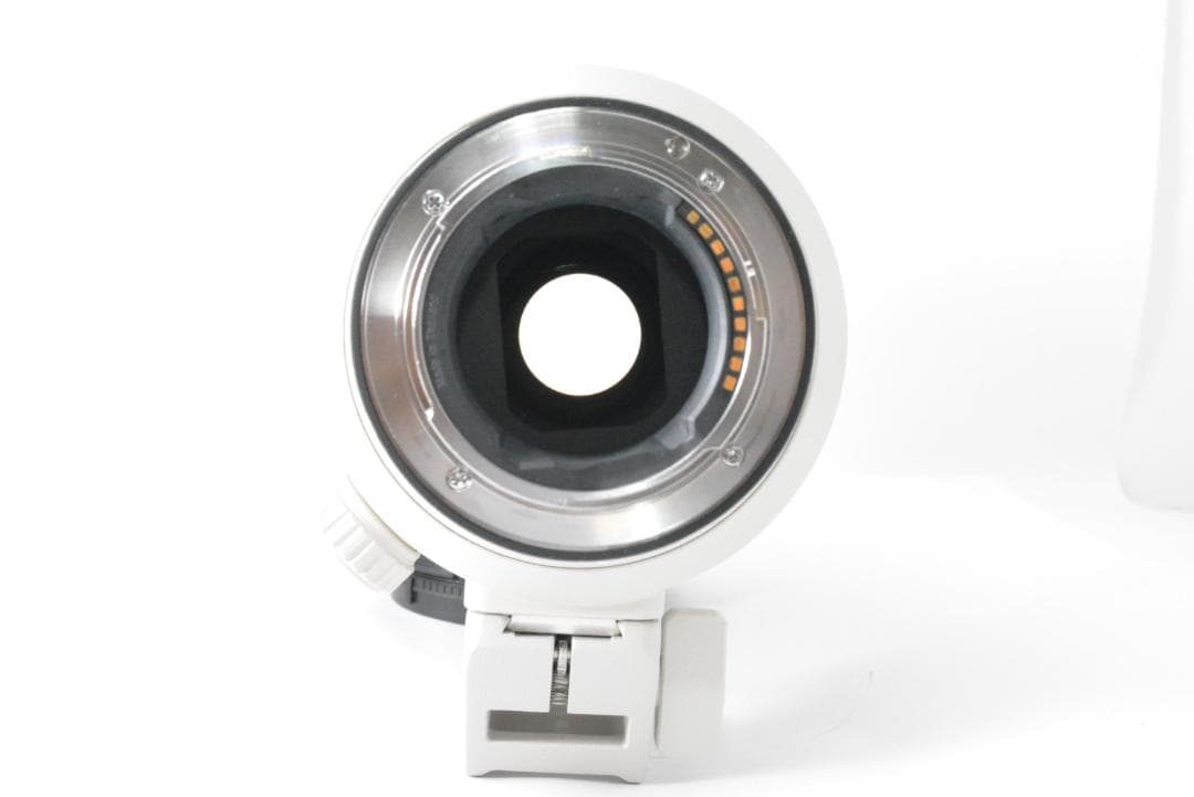 ソニー　SONY FE 70-200mm F2.8 GM OSS