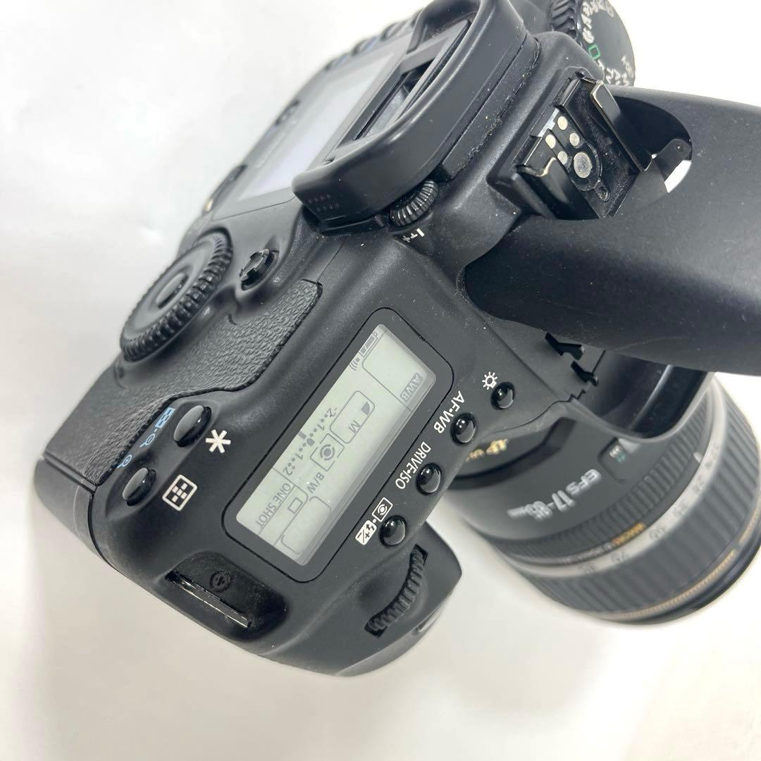 ★レンズ付属★Canon EOS 20D デジタル一眼レフ キヤノン イオス