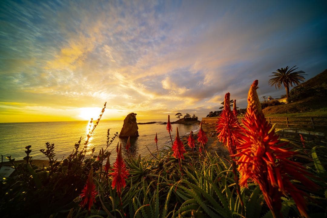 LAOWA FF II 9mm F5.6 W-Dreamer(Lマウント)