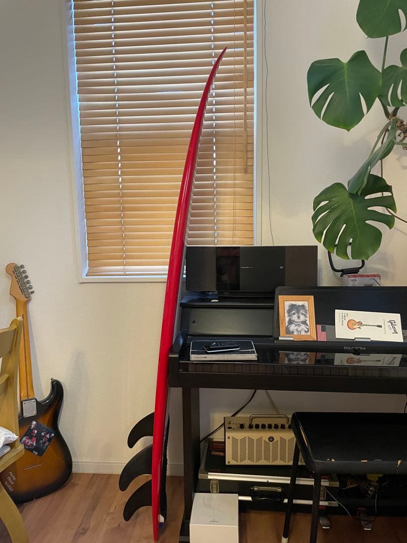 サンタクルクズ　サーフボード 5'11\" ARCHY（マットアーチボルド）