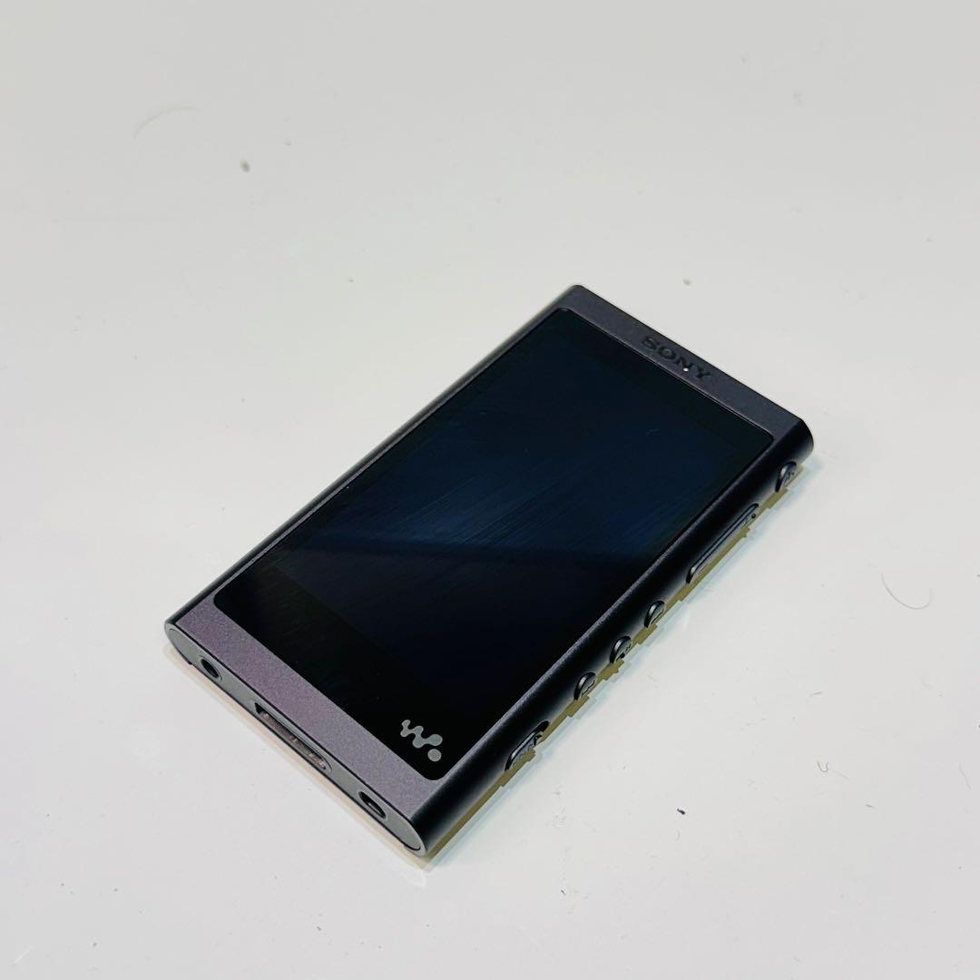 Sony デジタルオーディオプレーヤー NW-A55 動作品