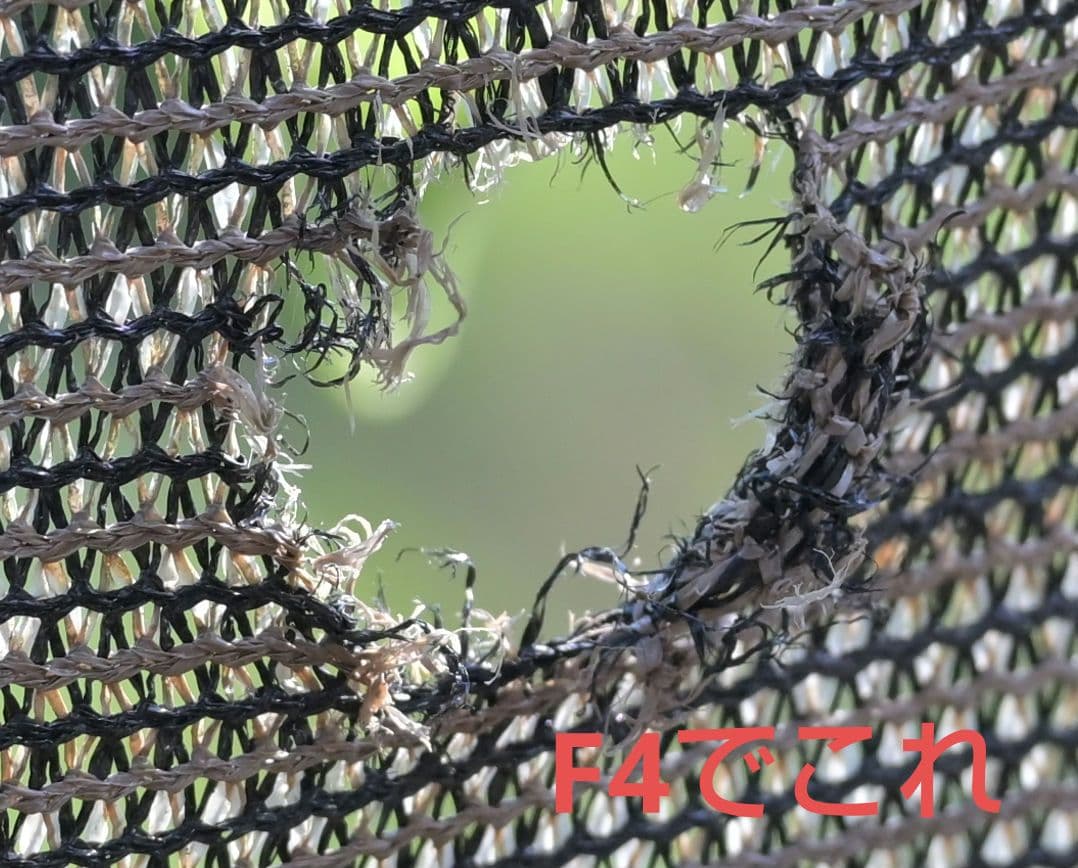 レンズ(ズーム) Nikon AF-S 70-200mm f2.8G ED VR II