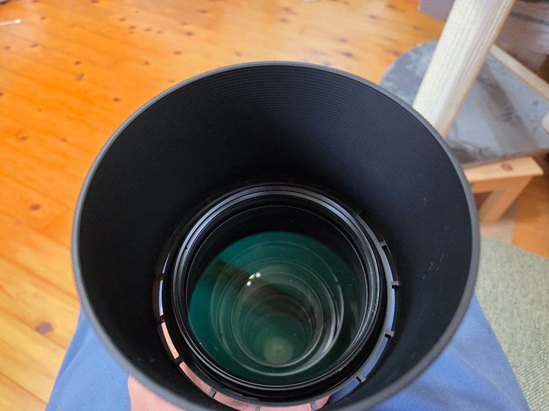 SIGMA 150-600mm F5-6.3 DG 望遠レンズ Nikon