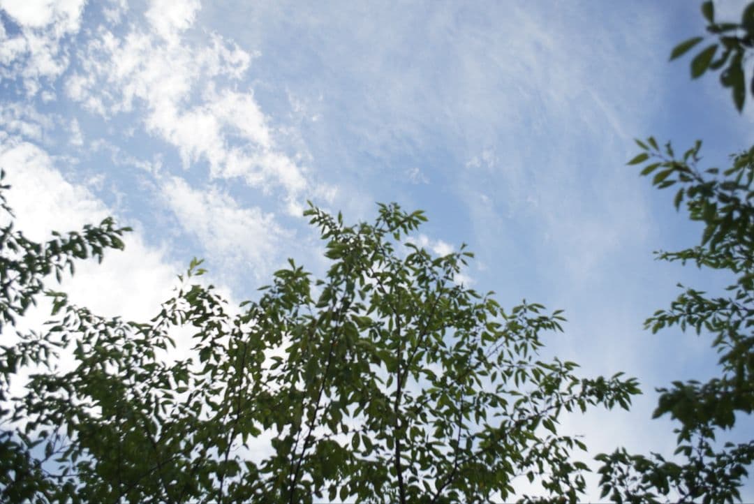 ☆実用品☆ライカ エルマリート‐R 35㎜ F=1;2.8　12564フード付き