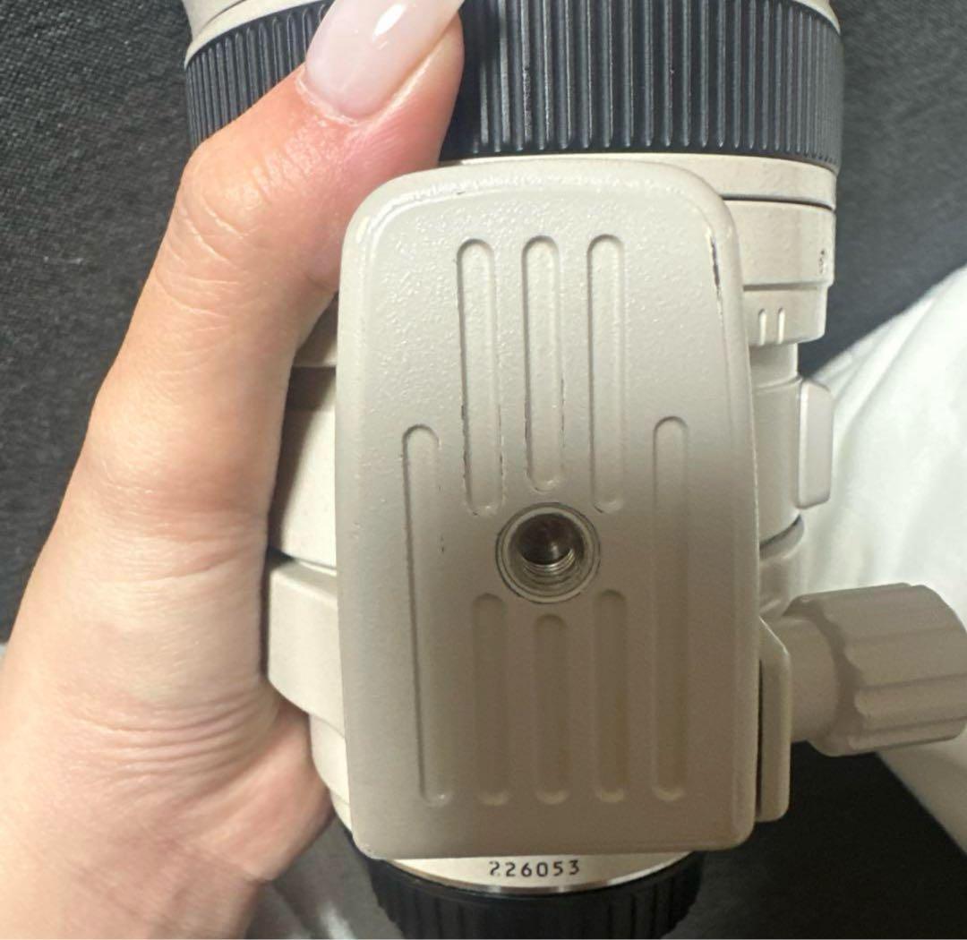 Canon EF100-400F4.5-5.6L IS USM レンズ