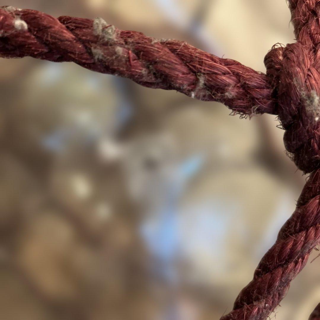 北一硝子浮き玉