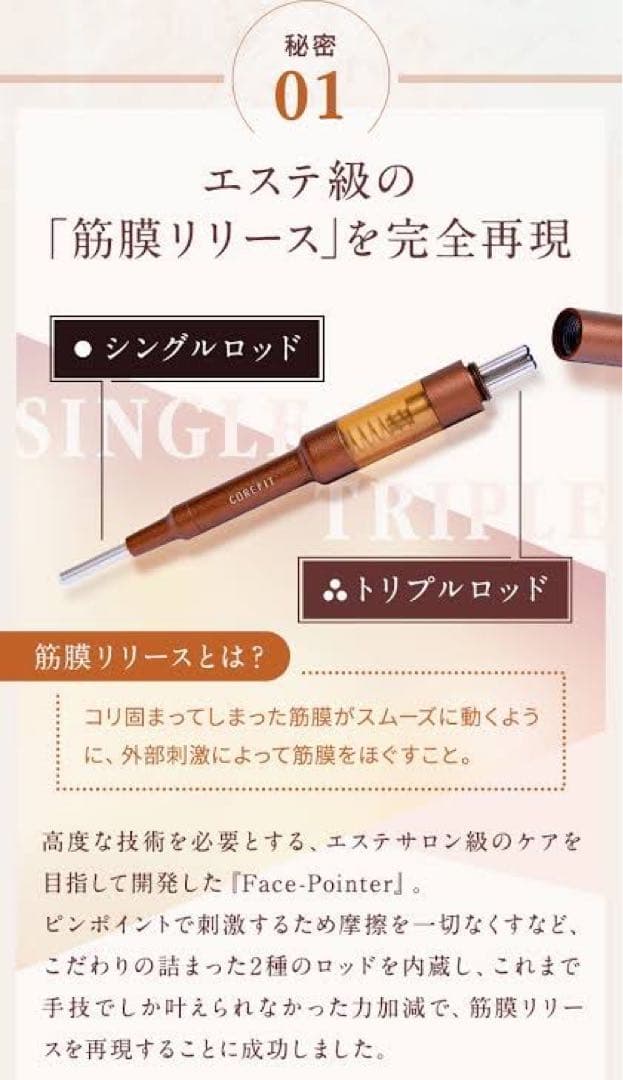 ★限定値下げ★リニューアル【新品未開封】コアフィット フェイスポインター2