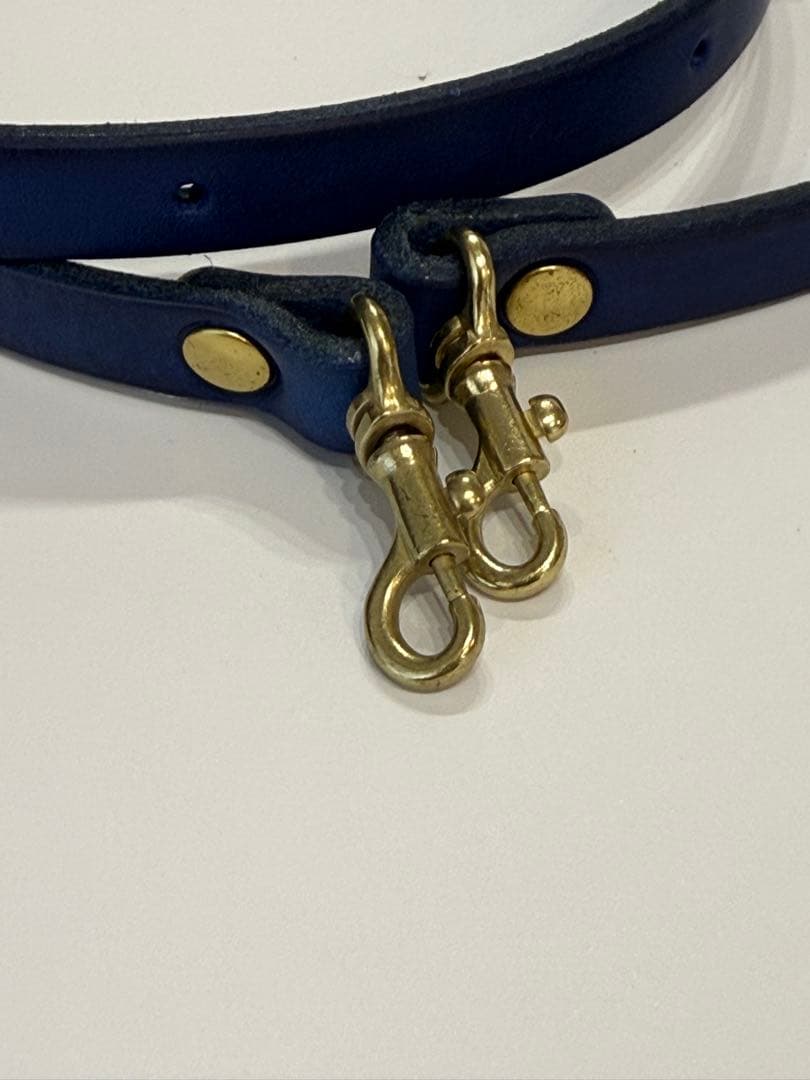 アナロジコ　analogico ドロシーバッグ　限定ブル